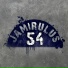 Jamirulus