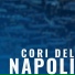 Napoli Ultras