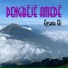 Dengbeje Amede