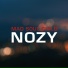Nozy
