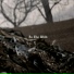 GOYA feat. YDP CK