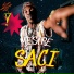 Mestre Saci