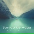 Musica de Relajación Academy