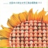 新时代小星星组合