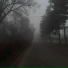 Mark Masterov