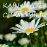 Kain White