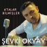 Şevki Okyay