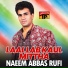 Naeem Abbas Rufi