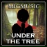 MigMusic