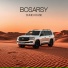 Bosarsy