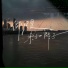 王佳音Sgr