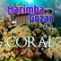 Marimba Gozar