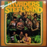 The Invaders Steelband