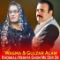 Gulzar Alam, Wagma
