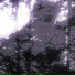 sunwoodrise