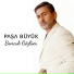 Paşa Büyük