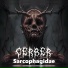 CERBER
