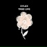 Xylux