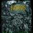 Intestinal Disgorge