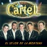 Grupo Cartel