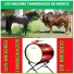 Los Mejores Tamborazos De Mexico
