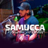 Samucca