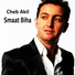 Cheb akil