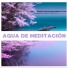 Meditando