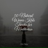 Relaxed Minds, Calming Sounds, Studying Music