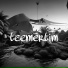 Teemertim