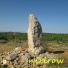 nielrow