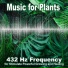 Hortus Botanist