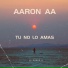 Aaron AA