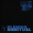The Flashbulb