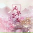 笔墨光年, 柿崽