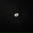 luces224, nesta