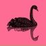 Pink Swan