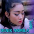 Denik Armila