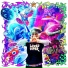 BroA$taR feat. Exitus999