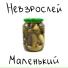 НЕВЗРОСЛЕЙ
