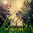 NetteR Stanc