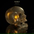 Annix feat. Madrush MC