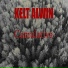 Kelt Alwin