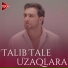 Talıb Tale