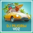 DJ Piligrim