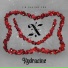 XYDRAZINE