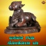 Basavaraj Narendra, Divya