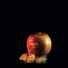 kidstrange, Lazy Tree Records
