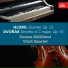 Vlach Quartet, Zuzana Růžičková