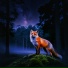 FOXGAT